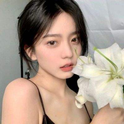 永远的7日之都助手软件下载